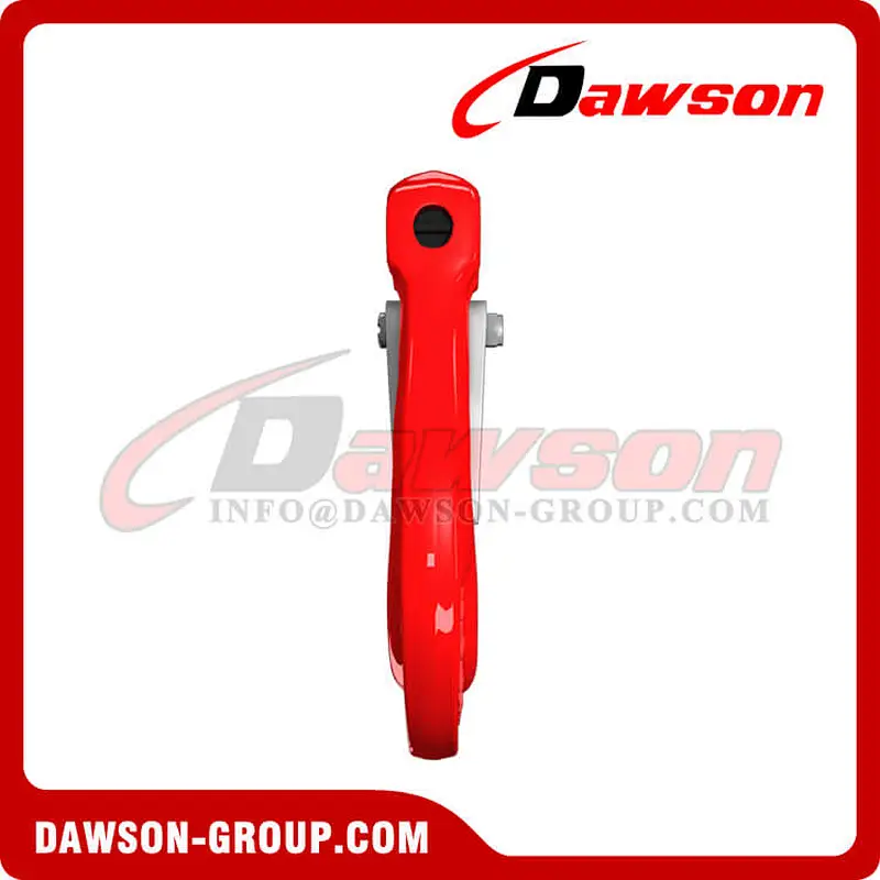 DS333 G80 Clevis Sling Hook with Cast Latch for Lifting Chain Slings