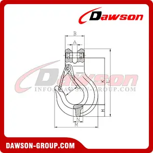 DS329 G80 Clevis Slip Hook with Latch for G80 EN818-2 Chain