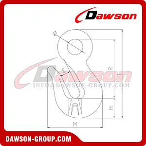DS217 G80 Eye Type Belt Wing Hook