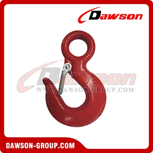 DS039 G80 Eye Sling Hook with Latch for Lifting Chain