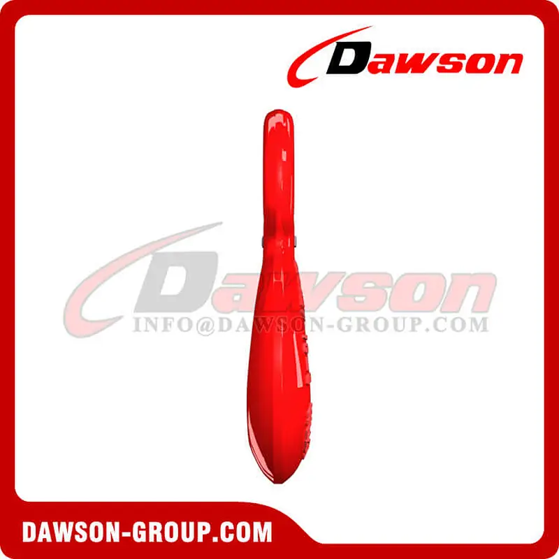 DS039 G80 Eye Sling Hook with Latch for Lifting Chain