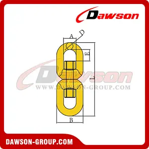 DS263 G80 Swivels for Lifting Hoist