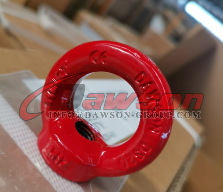 DS055 G80 Eye Nut Rigging for Lifting - Dawson Group Ltd. - Manufacturer, Factory, Supplier