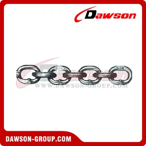 G70 Transport Chain NACM19962003 Standard