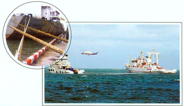 Luminous Rope - Dawson Group Ltd. - China Manufacturer, Supplier, Factory