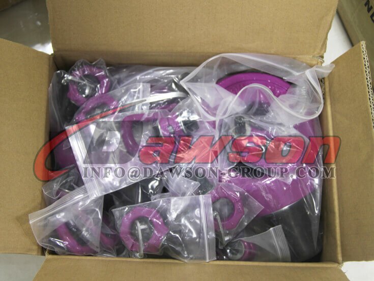 Package of G80 Lifting Anchor Eye Bolt - Dawson Group Ltd. - China Manufacturer, Factory