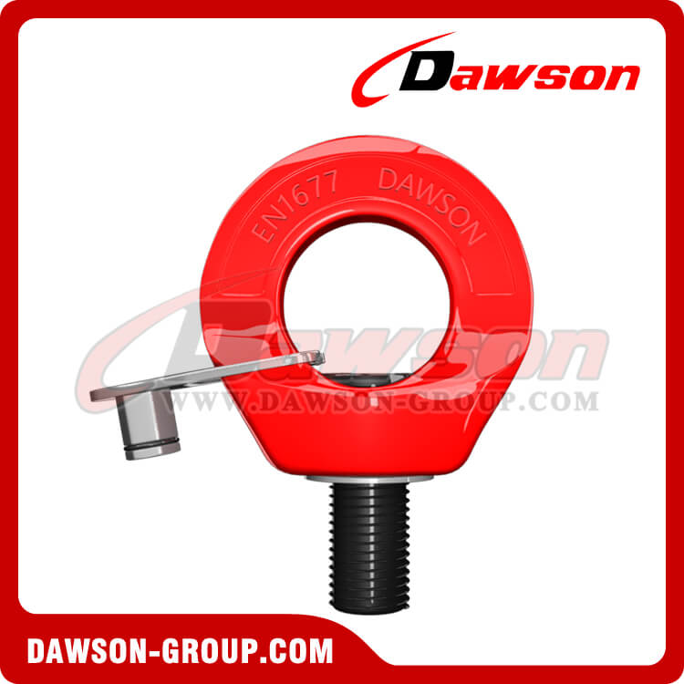 DS084 G80 Eye Type Rotating Ring - Dawson Group Ltd. - China Manufacturer, Factory, Supplier