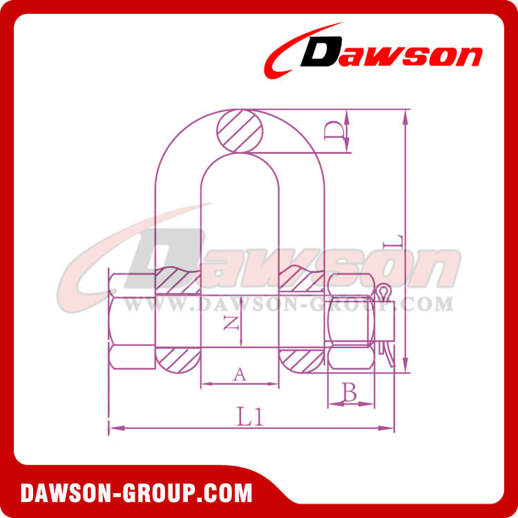 G8 Bolt Type Alloy Dee Shackle for Lifting, Chain Shackle with Safety Pin - Dawson Group Ltd. - China Manufacturer, Factory