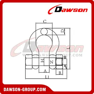 DS362 High Strength Bolt Type Bow Shackle