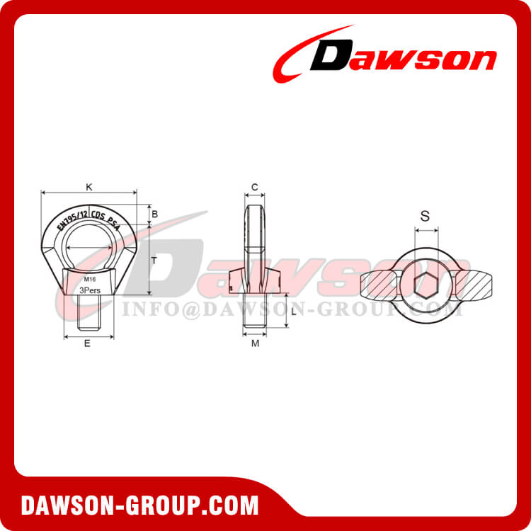 DS-PSA Duplex Stainless Steel Eye Bolt, Lifting Points for Outdoor Working- Dawson Group Ltd. - China Manufacturer, Factory