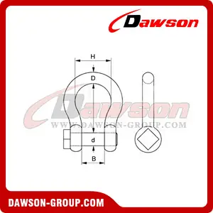 European Type Trawling Bow Shackle with Square Head for Fishing
