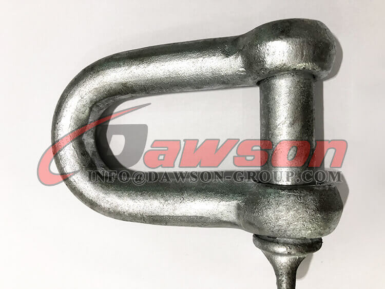 European Type Commercial Galv. Dee Shackle - Dawson Group Ltd. - Manufacturer, Factory, Supplier