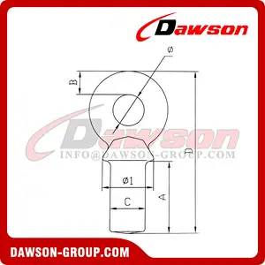 G80 NAV Special Lifting Eye Bolt
