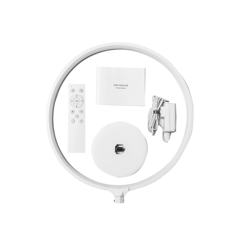 Home and Hotel  Modern Circle RGBW color changing Table Led Lamp