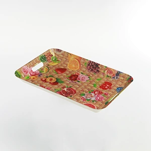 Food serving trays with handle, Disposable rectangular trays, with the handle tray