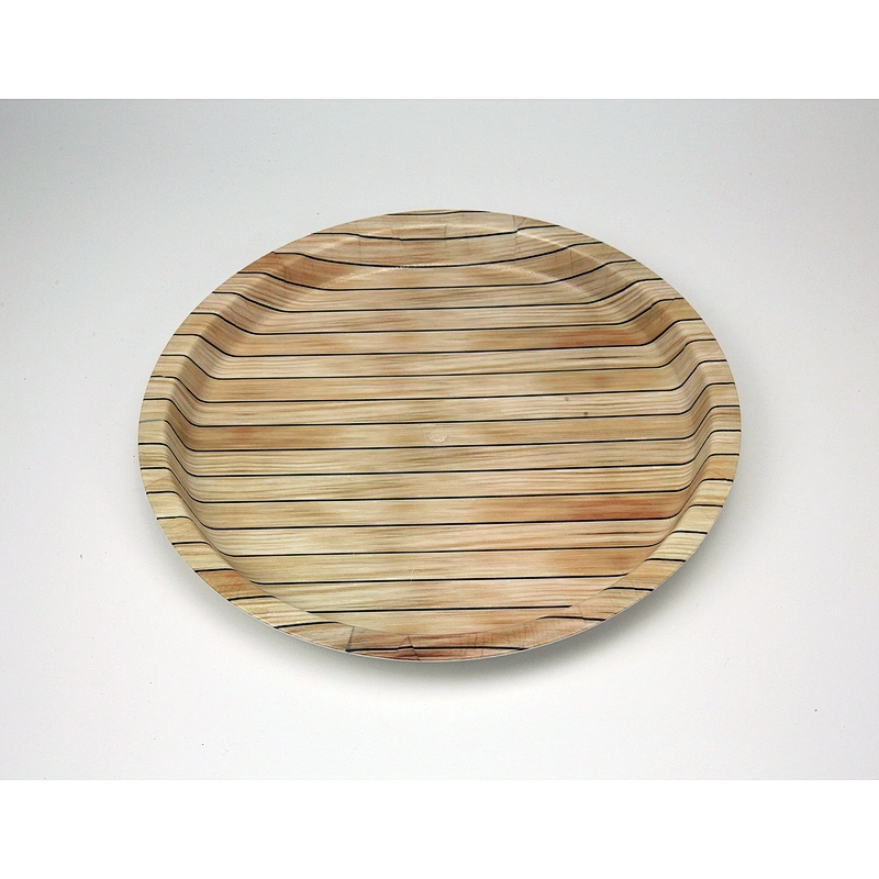 custom printed serving tray,fruit tray,plastic serving tray