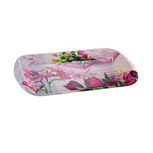 Newst design lunch tray,party platter,kitchen food anti slip tray
