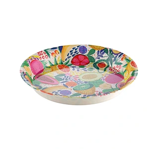 Custom Full  Printing Round PP Propylene Tray