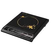 INDUCTION COOKER