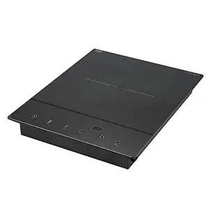 INDUCTION COOKER