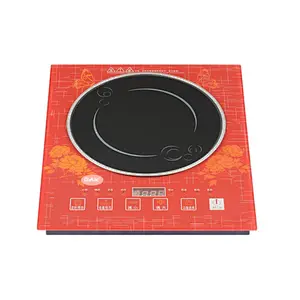 INDUCTION COOKER