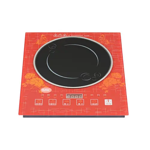 INDUCTION COOKER