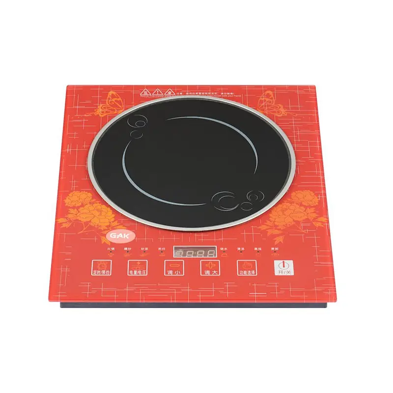 INDUCTION COOKER