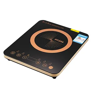 INDUCTION COOKER