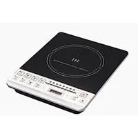 INDUCTION COOKER