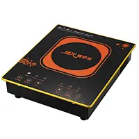 INDUCTION COOKER