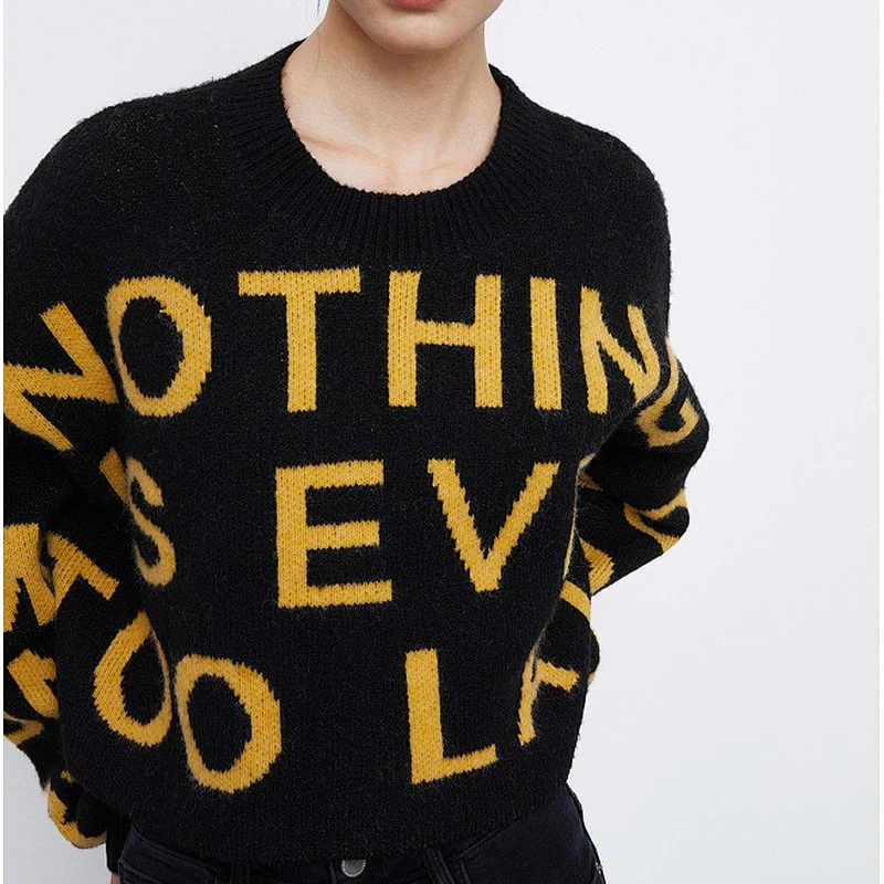 Ladies pullover sweater