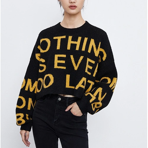 Ladies pullover sweater