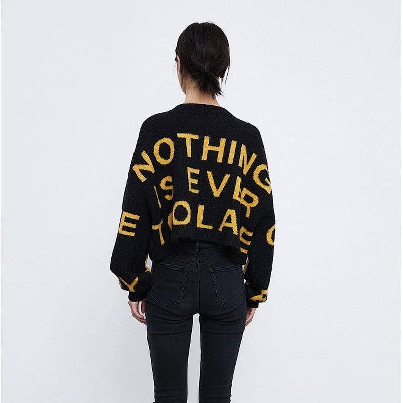 Ladies pullover sweater
