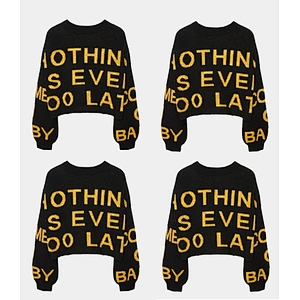 Ladies pullover sweater