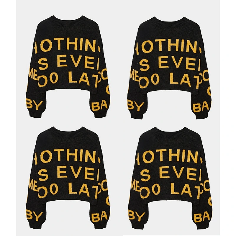 Ladies pullover sweater