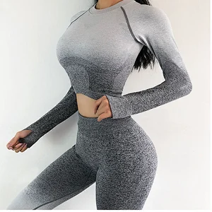 Ladies seamless long sleeve tops yoga gym set