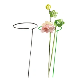 PLANT SUPPORT