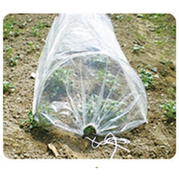 GREEN HOUSE