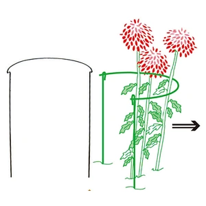PLANT SUPPORT
