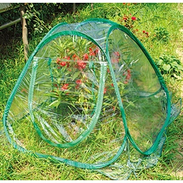 GREEN HOUSE