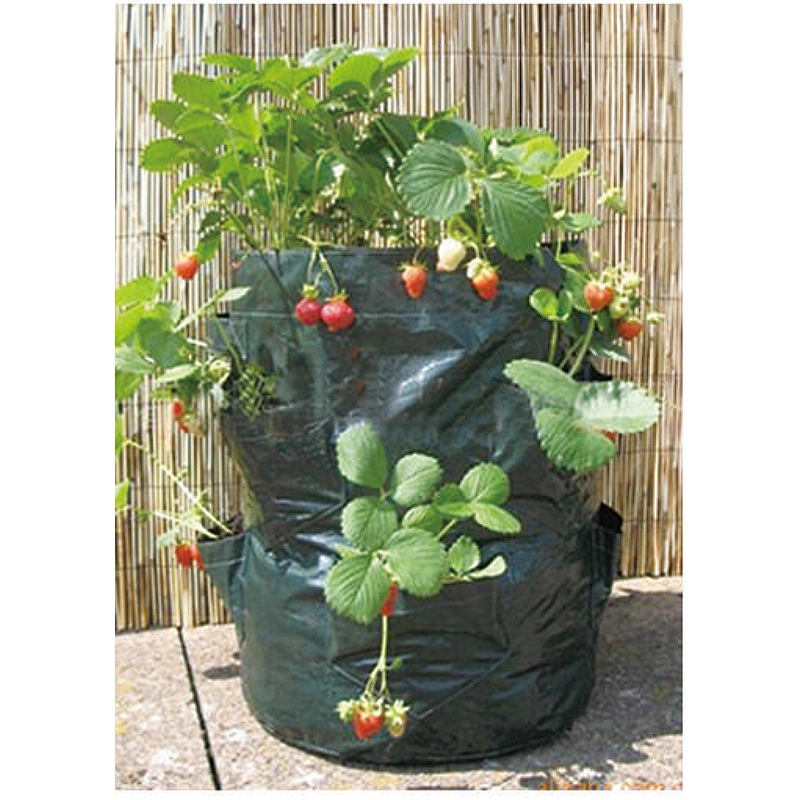 Plant Bag