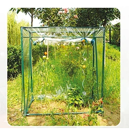 MINI TOMATO GREEN HOUSE