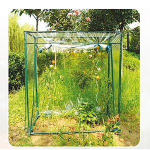 MINI TOMATO GREEN HOUSE
