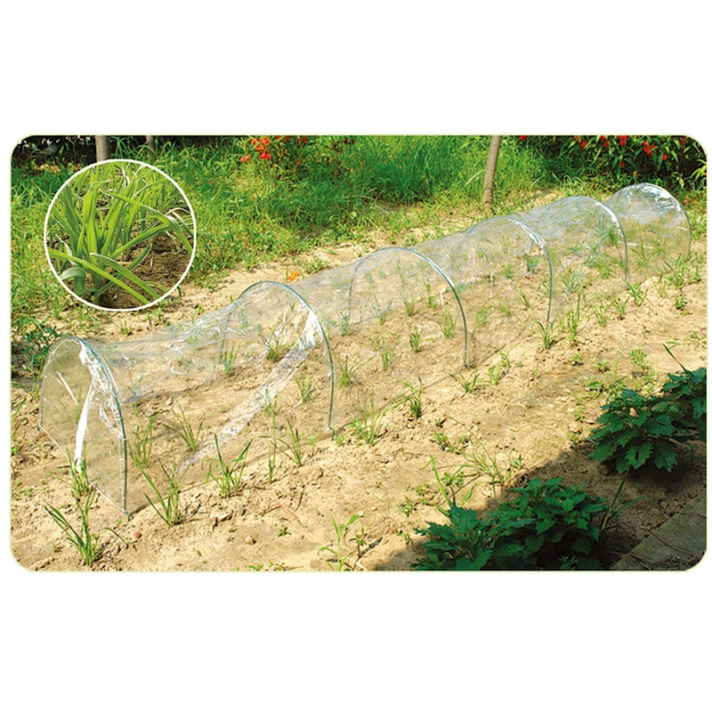 GREEN HOUSE