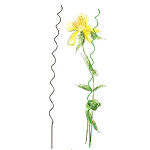 PLANT SUPPORT