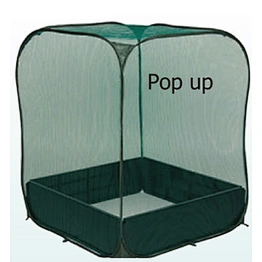 GREEN HOUSE