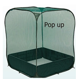 GREEN HOUSE