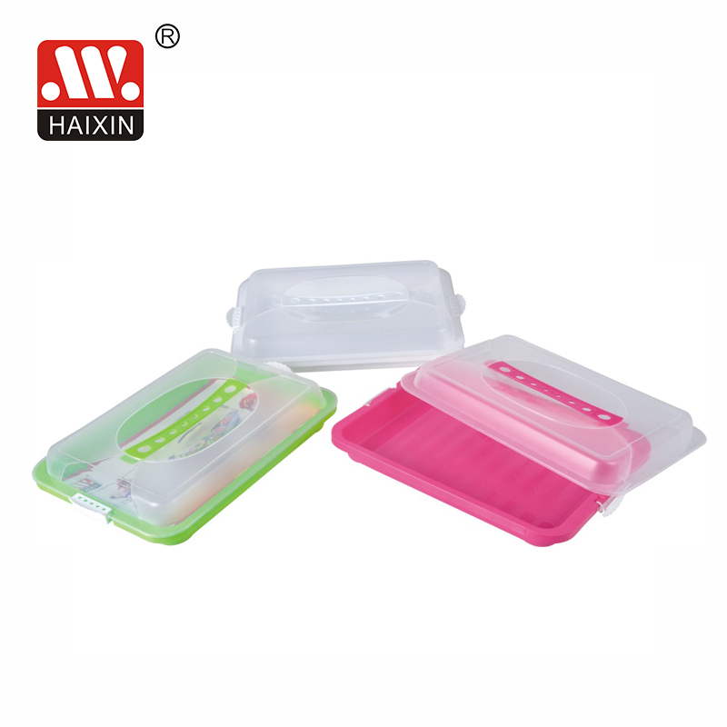 rectangular plastic with handle