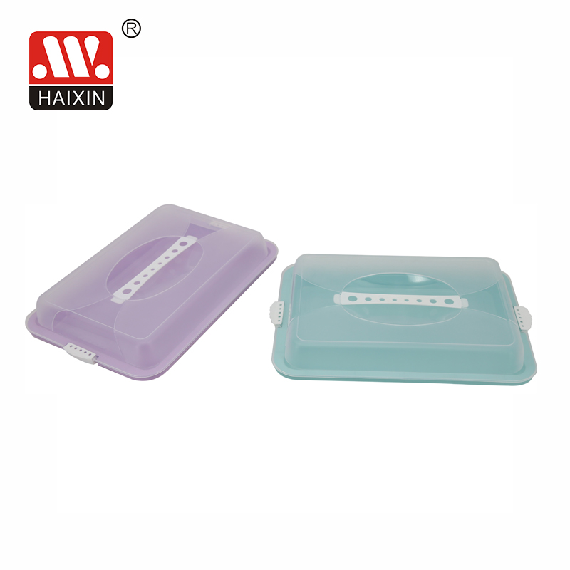 rectangular plastic with handle