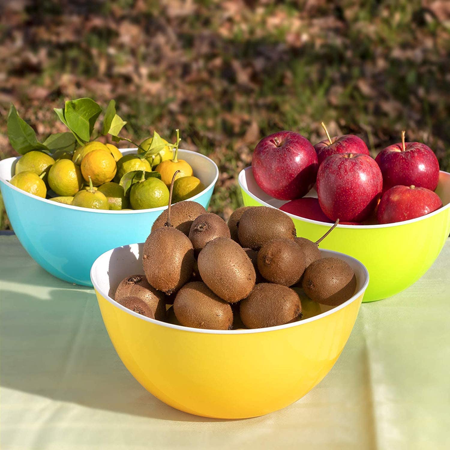 fruit bowl salad bowl